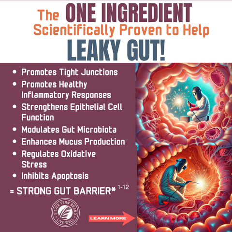 One ingredient scientifically proven to help leaky gut - gut health, endotoxemia, butyrate