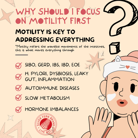 Motility plays a huge role in your gut health