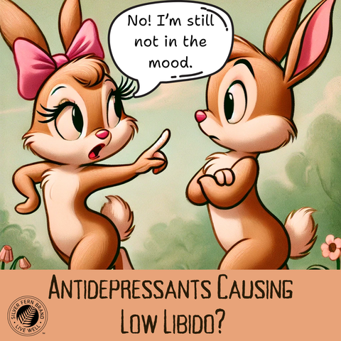 Antidepressants causing low libido? - saffron