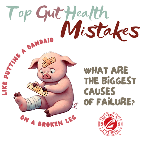 Top gut health mistakes - gut health probiotics