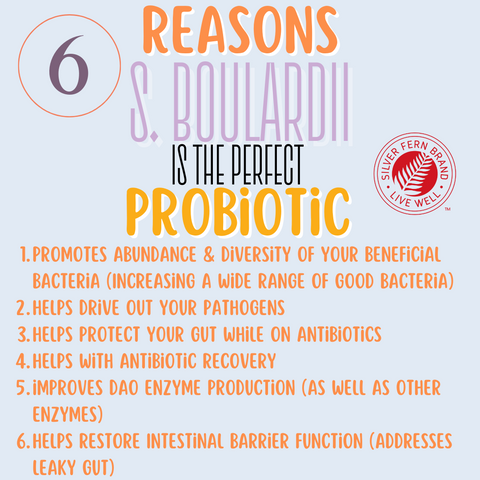 6 Reasons S. Boulardii is the perfect probiotic - gut health, probiotics