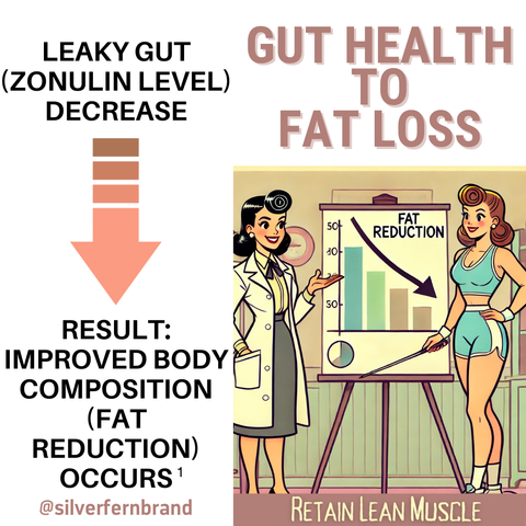 Gut health to fat loss - gut health, metabolism, weightloss