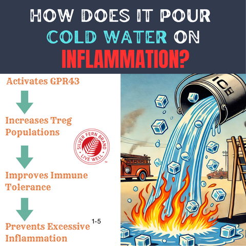 Like pouring cold water on inflammation - gut health, butyrate