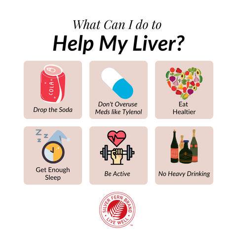 What can you do to help your liver? - gut health, short-chain fatty acids, probiotics, prebiotics