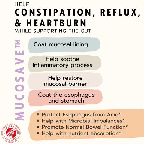 Help constipation, reflux, & heartburn while supporting the gut - gut health, laxatives, acid blockers