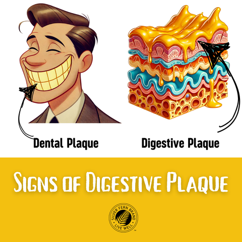 Signs of Digestive Plaque - gut health, biofilm