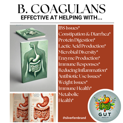 Probiotic Strain: B. Coagulans - gut health, probiotics