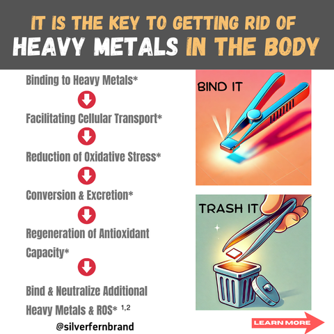 The key to getting rid of heavy metals in the body - glutathione, detox