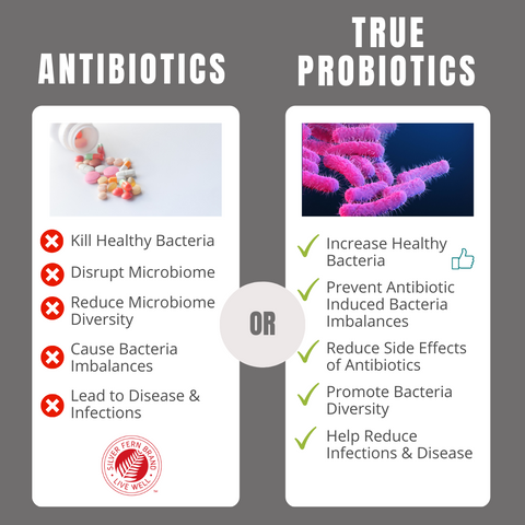 Cold and Flu season got you worried? - gut health, probiotics, antibiotics