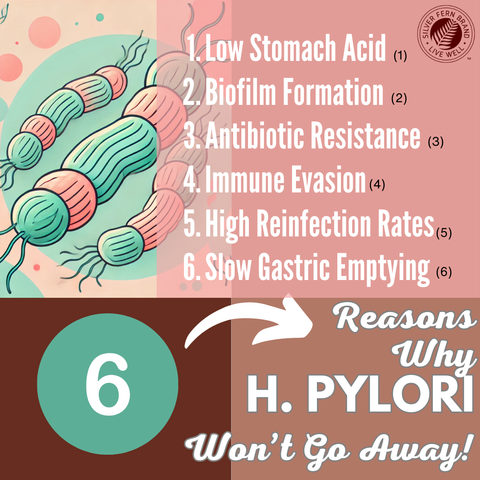 6 reasons why H. pylori won't go away - gut health