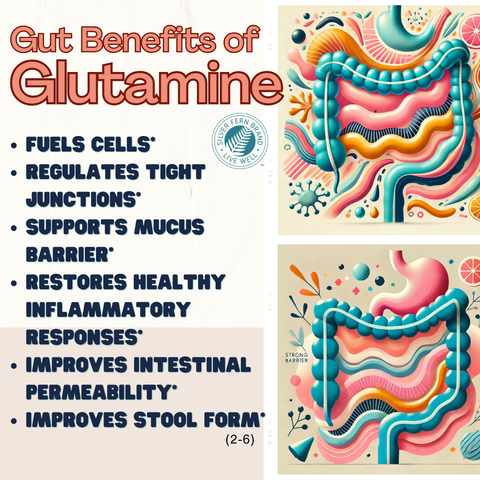 Gut benefits of Glutamine - gut health