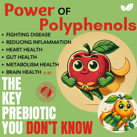 Power of polyphenols - gut health, prebiotics