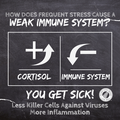 Chronic stress isn't just mental, its physical too - gut health, stress, mental health, immune system