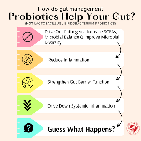 Your probiotic should do more than just introduce bacteria - gut health, microbiome