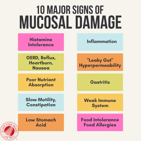 10 Signs of mucosal damage - gut health, reflux, histamine intolerance, constipation