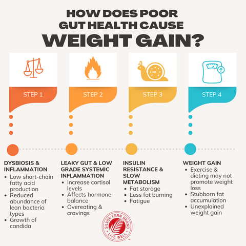 How does poor gut health effect weight gain? - probiotics, metabolism, weigh loss