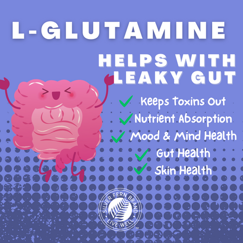 The Broad Spectrum of L-Glutamine Benefits