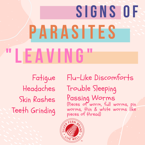 Signs of parasites leaving - gut health, candida, cleanse, detox