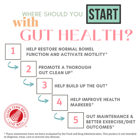 Where should you start with gut health? - probiotics, immunoglobulins