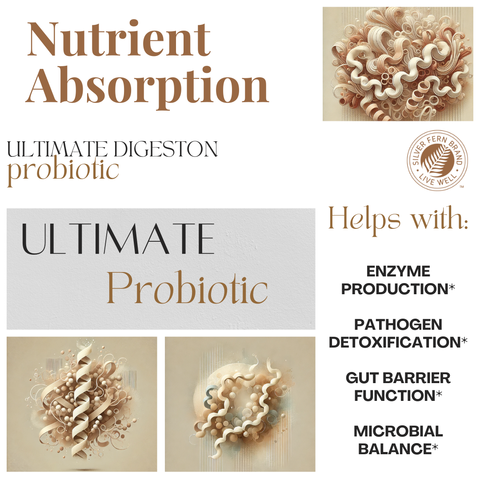 Probiotic for nutrient absorption - gut health, digestion