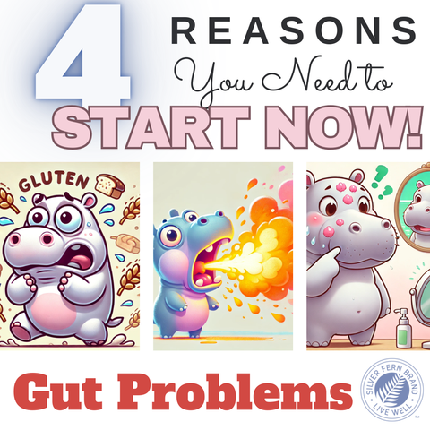 4 reasons you need to start NOW - gut health, heal your gut